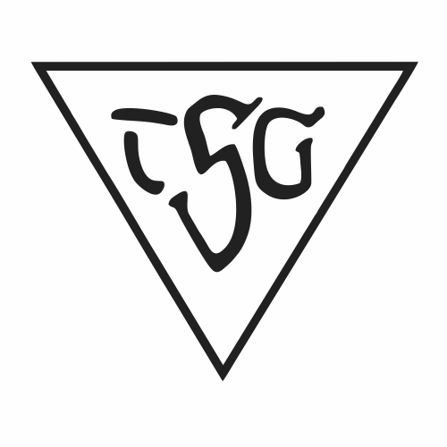 TSG Dülmen